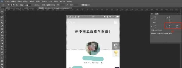QQ名片背景图片的尺寸是多少啊