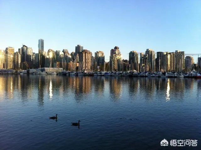 有人了解四川自贸区吗？自贸区的建立对你的生活有什么影响？