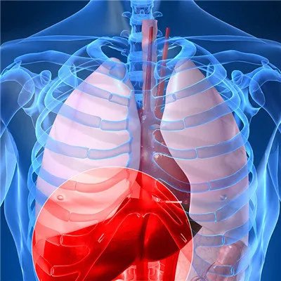 五脏六腑的症状表现？