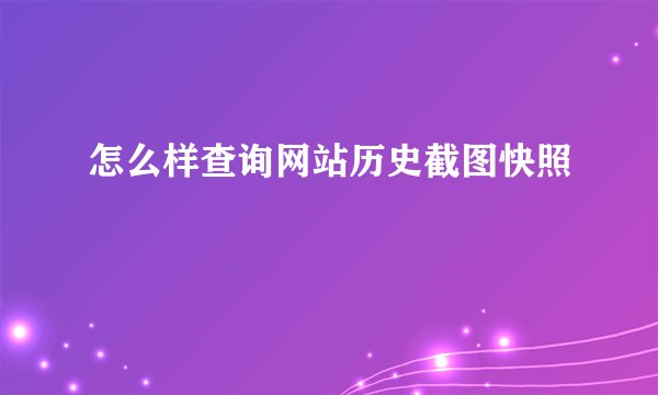 怎么样查询网站历史截图快照