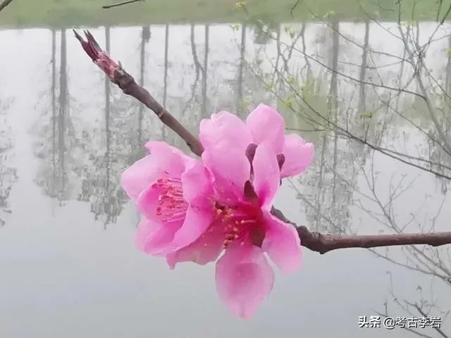 吴孟达去世了吗？