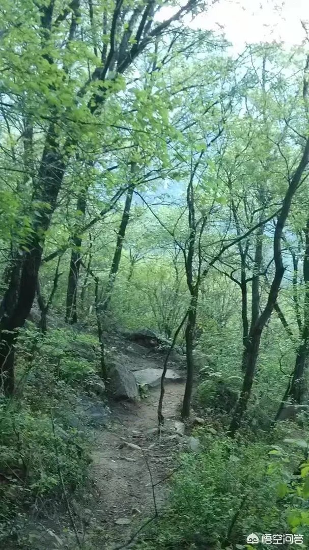 想去河南登封旅游2天，该怎么规划？