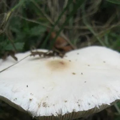 妇幼保健院地址