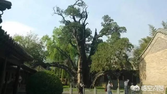 想去河南登封旅游2天，该怎么规划？