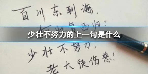 少壮不努力的上一句是什么 少壮不努力的上一句是啥