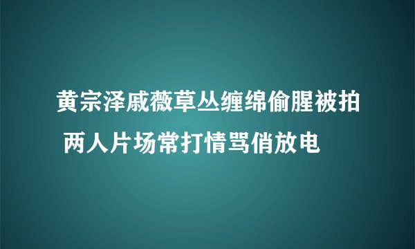 黄宗泽戚薇草丛缠绵偷腥被拍 两人片场常打情骂俏放电