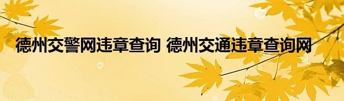 德州交警网违章查询 德州交通违章查询网