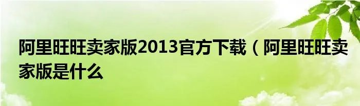 阿里旺旺卖家版2013官方下载（阿里旺旺卖家版是什么