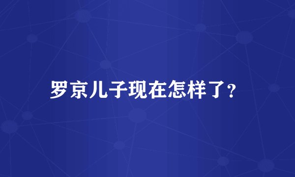 罗京儿子现在怎样了？
