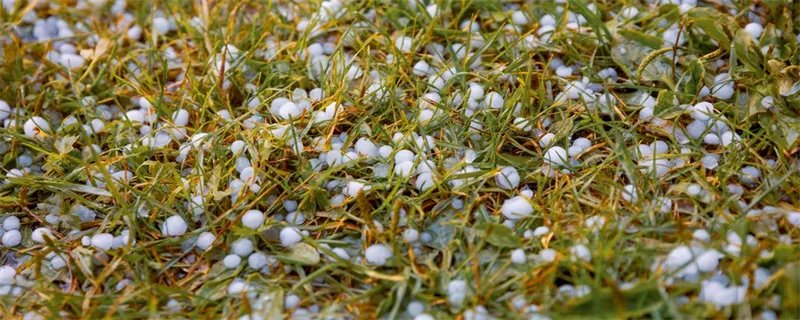 冰雹是哪个季节下的 冰雹一般哪个季节下