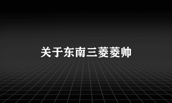 关于东南三菱菱帅