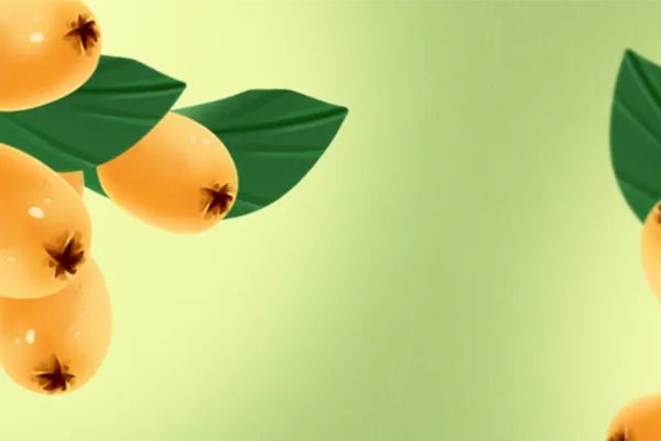 吃枇杷的禁忌有哪些呢