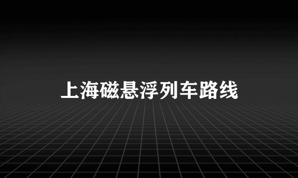 上海磁悬浮列车路线