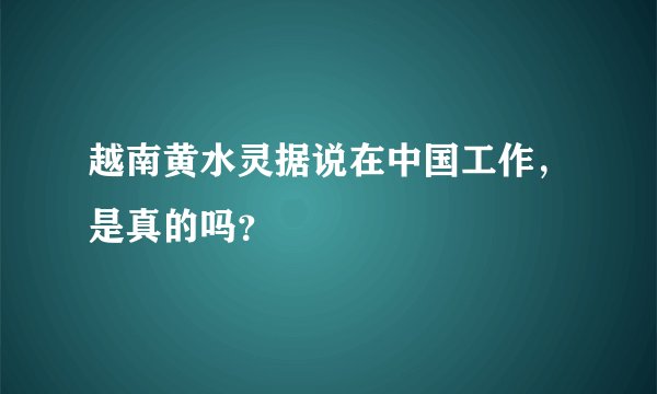 越南黄水灵据说在中国工作，是真的吗？