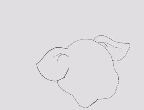 可爱的小猪是怎么画的