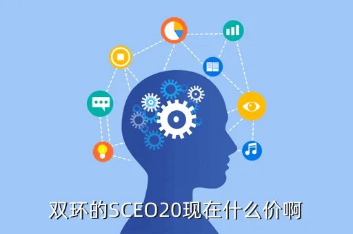 双环sceo多少钱，双环的SCEO20现在什么价啊