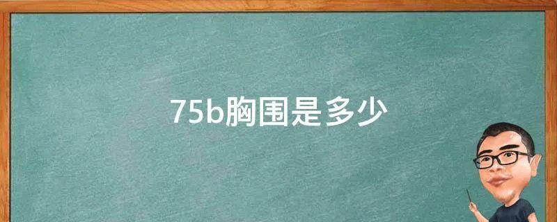 75b胸围是多少