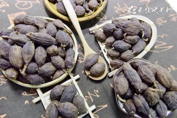 土鳖虫养殖技术沼渣养殖