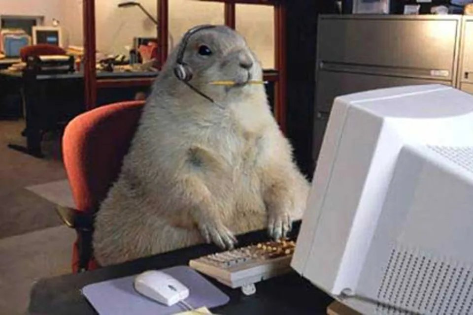 什么动物天天熬夜 什么动物晚上不睡觉