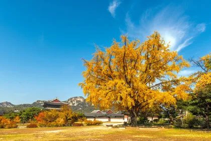 人间忽晚山河已秋的意思