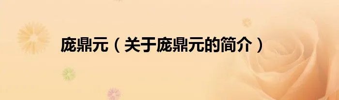 庞鼎元（关于庞鼎元的简介）