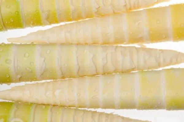 鲜竹笋的家常做法大全