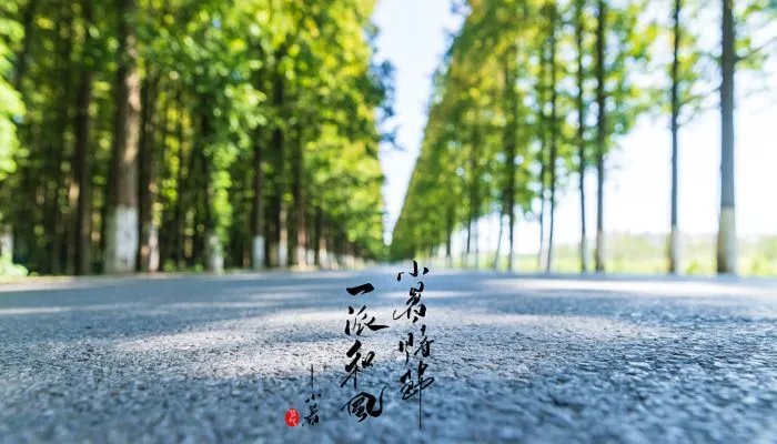 2023年小暑几时几分几秒 2023小暑节气是几月几日星期几