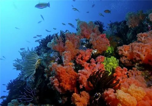 电脑的动态屏保如何设置   电脑动态屏保设置的详细步骤