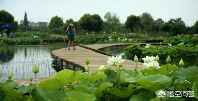 什么是真正的高贵？