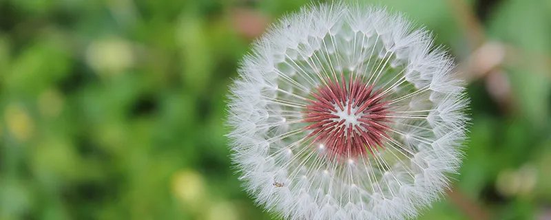 失无所失下一句是什么  失无所失的下一句内容是