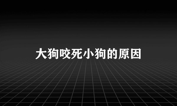 大狗咬死小狗的原因