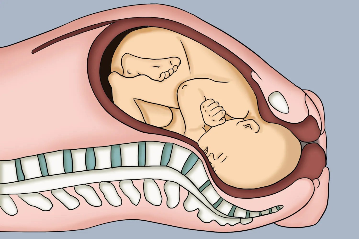 孕晚期胎儿入盆图片