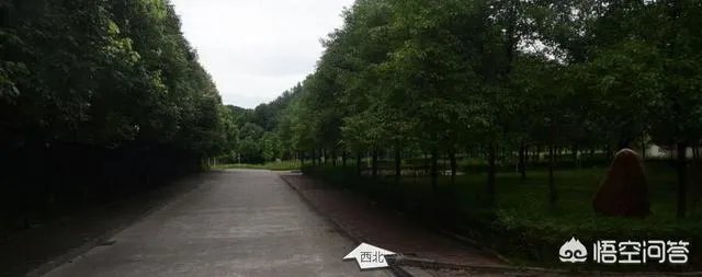 长沙学院怎么样？