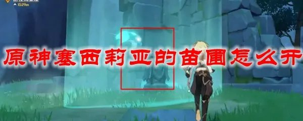 原神塞西莉亚的苗圃怎么开