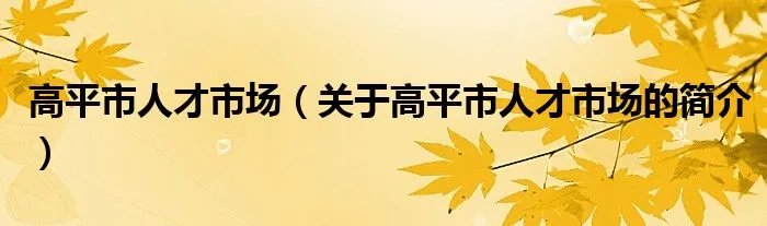高平市人才市场（关于高平市人才市场的简介）