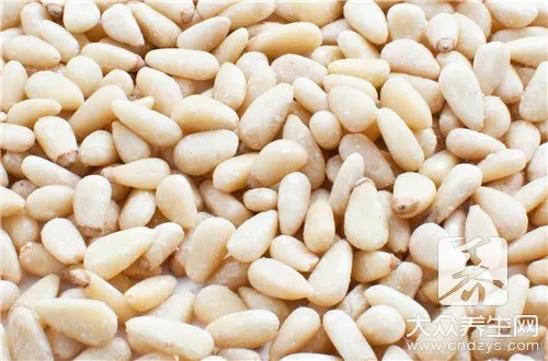 野生松子怎么吃