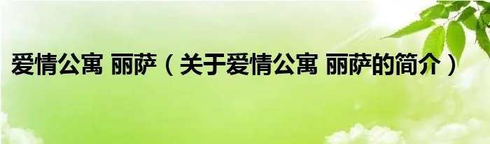 爱情公寓 丽萨(关于爱情公寓 丽萨的简介)