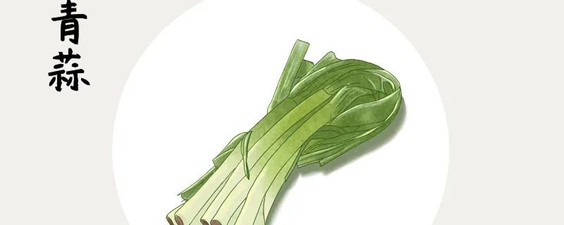 青蒜是什么 青蒜是指什么东西