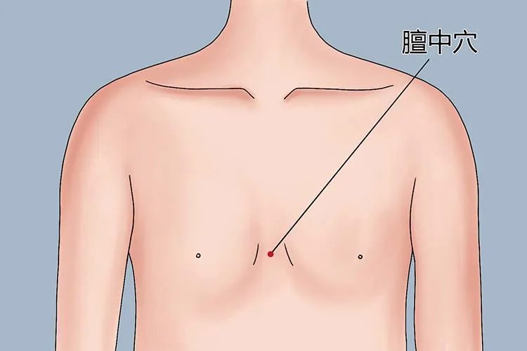 膻中的准确位置图和作用按摩方法