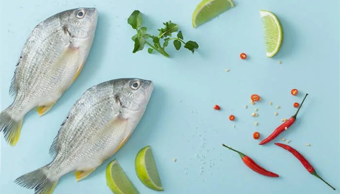 文昌鱼是鱼吗 文昌鱼又称为什么鱼