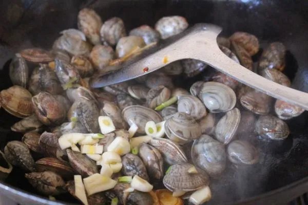 贝壳的做法怎样做好吃?