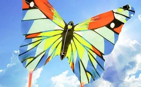 写放风筝的孩子作文