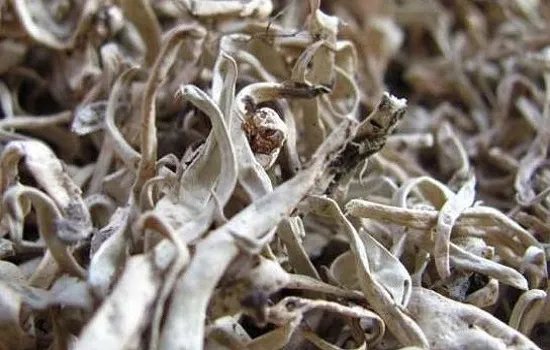 丽江有哪些特产 云南丽江特产有哪些