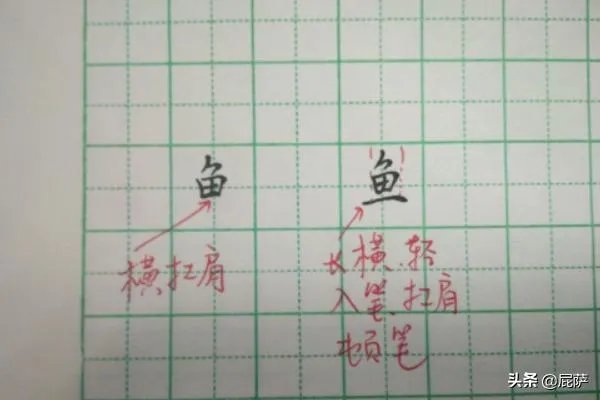 鱼的笔顺和书写方法？