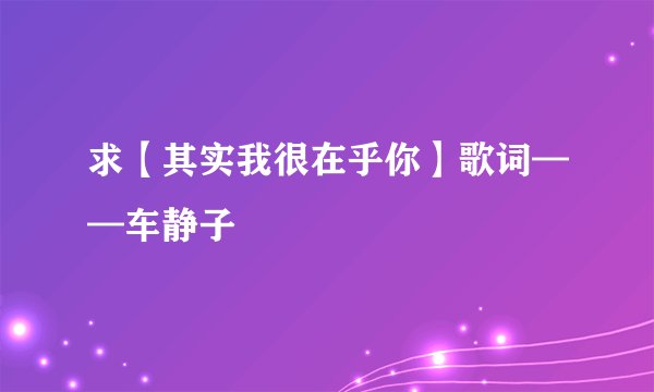 求【其实我很在乎你】歌词——车静子