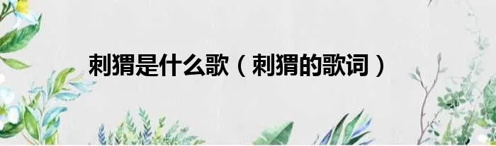 刺猬是什么歌（刺猬的歌词）