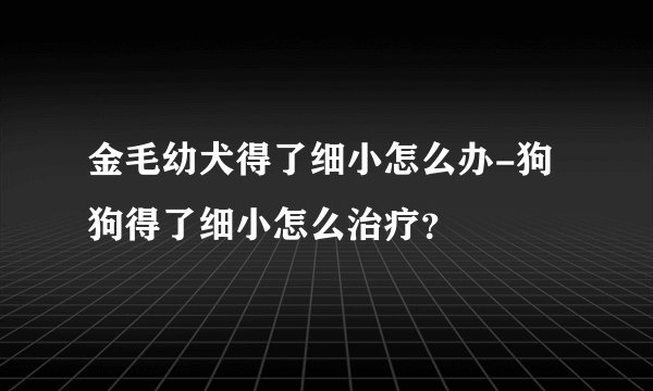 金毛幼犬得了细小怎么办-狗狗得了细小怎么治疗？