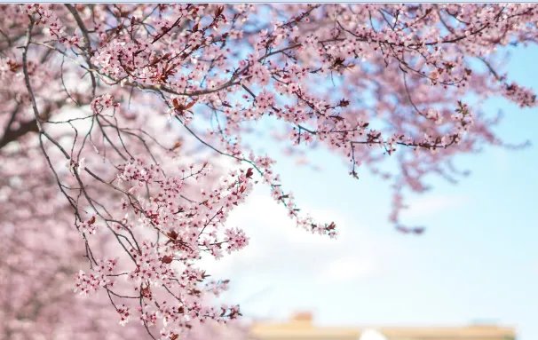 三月初三是什么日子 农历三月初三是什么节日