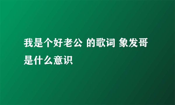 我是个好老公 的歌词 象发哥是什么意识