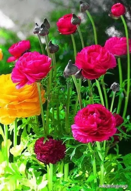 激光祛斑真的有效吗？